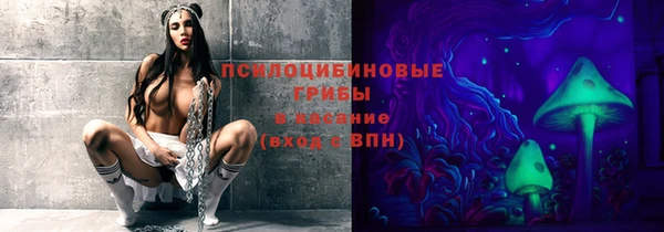 стафф Белокуриха