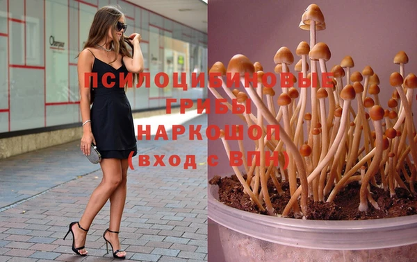 стафф Белокуриха
