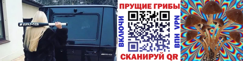 Псилоцибиновые грибы Psilocybe где можно купить наркотик Верещагино